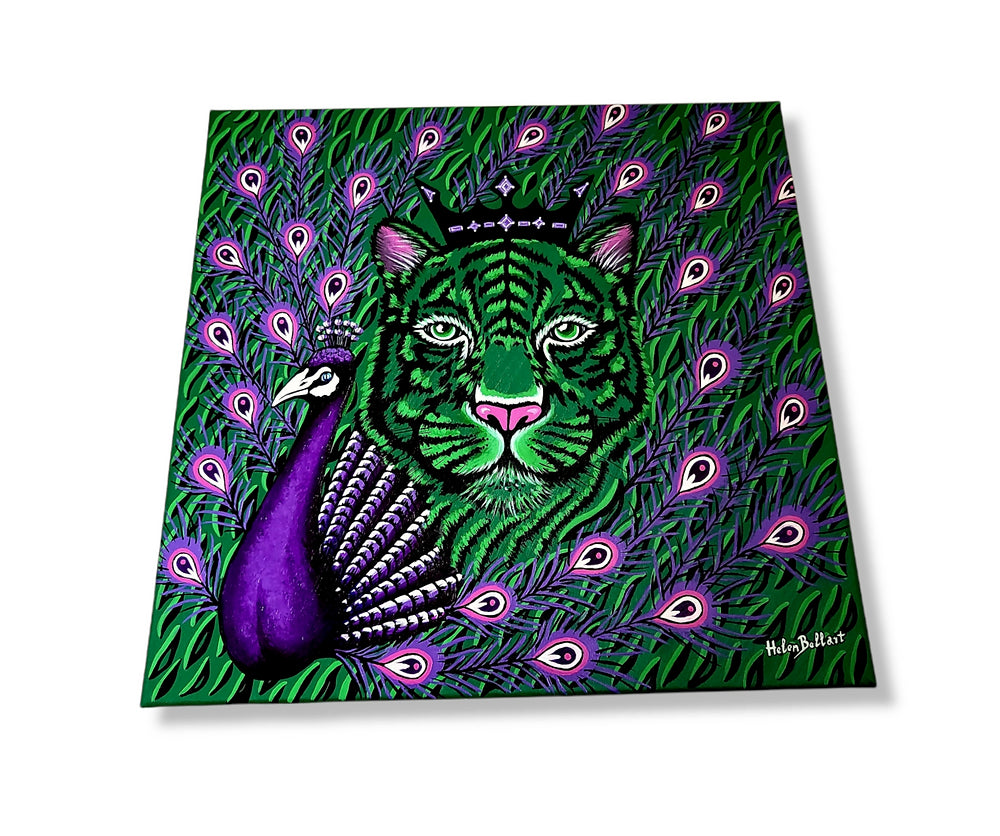 Pavone Viola&Tigre